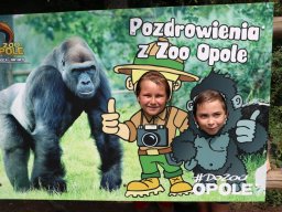 Półkolonie letnie 2026